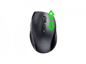 mouse