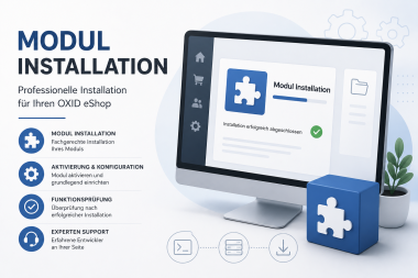 Modul-Installation Service 